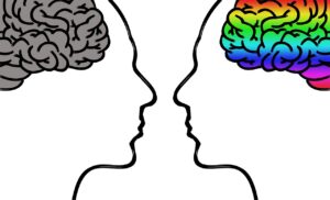 head, brain, thoughts, human body, face, psychology, concentration, ideas, drawn face, drawing, questions, demand, doubt, split personality, chaos, insecurity, anxiety, thought, fear, gray matter, comparison, fantasia, open mind, closed mind, person, men, stick man, stick figures, brain, brain, brain, brain, brain, psychology